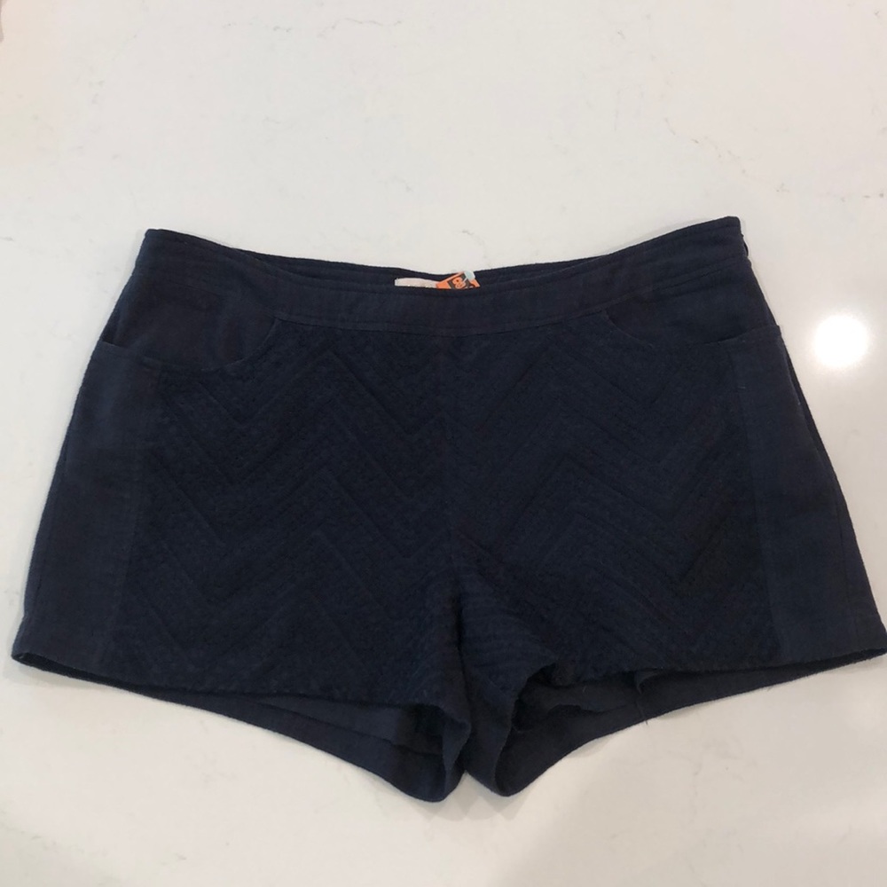 Linen Shorts from Anthropology (embroidered front)